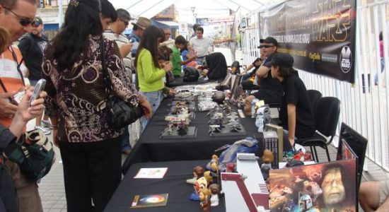 1ERA. MUESTRA NACIONAL “STAR WARS”, XXII FERIA DEL LIBRO DE OVALLE (2010).